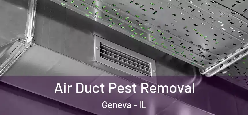  Air Duct Pest Removal Geneva - IL
