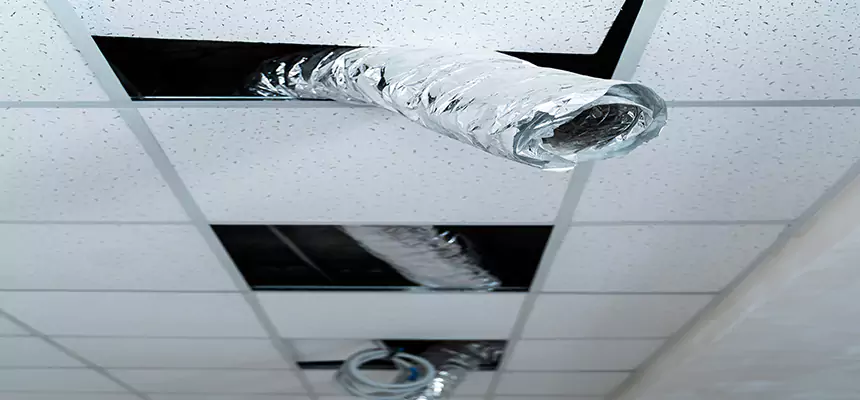 Our Air Duct Pet Hair Removal Services in Geneva, IL