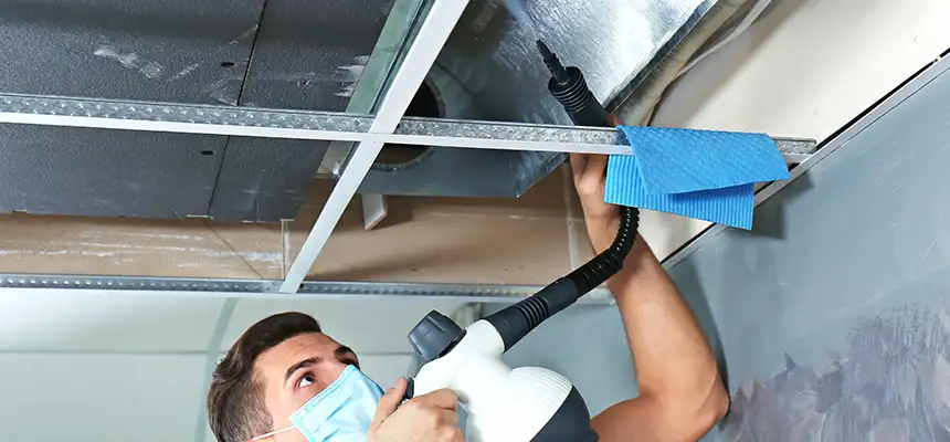 Our Air Duct Rodent Removal Services in Geneva, IL