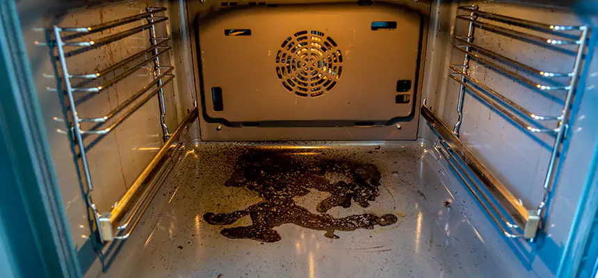 Our Dryer Vent Mold Cleaning Services in Geneva, IL