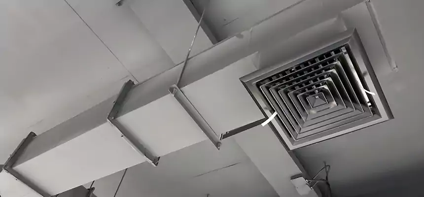 Our Rodent Droppings In Vents Services in Geneva, IL