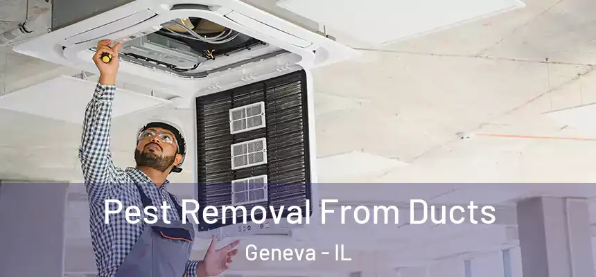  Pest Removal From Ducts Geneva - IL