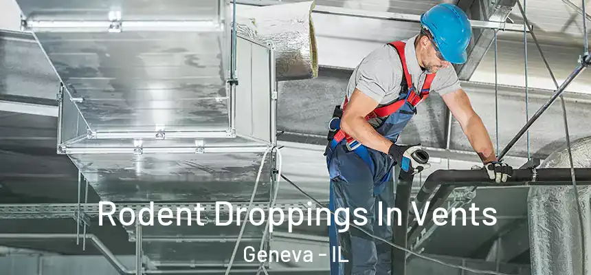 Rodent Droppings In Vents Geneva - IL