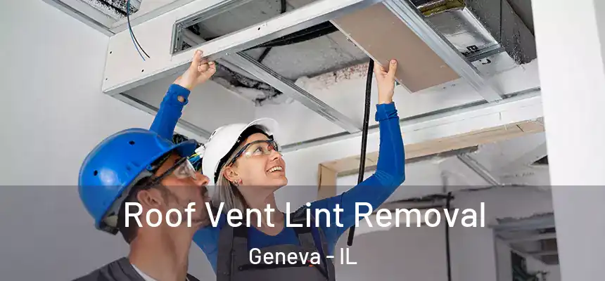  Roof Vent Lint Removal Geneva - IL