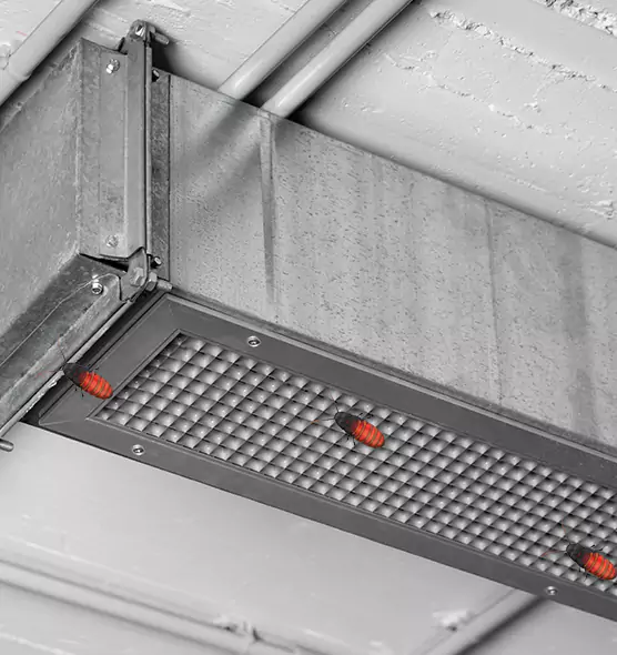 About Air Duct Cockroach Removal in Geneva, IL