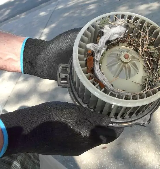 About Air Duct Mice Removal in Geneva, IL