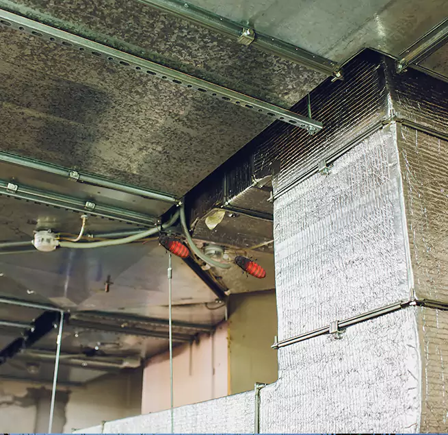 Why Homeowners & Businesses Trust Us in Geneva, IL?